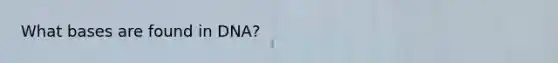 What bases are found in DNA?