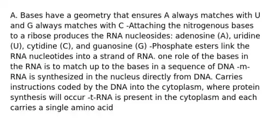 A. Bases have a geometry that ensures A always matches with U and G always matches with C -Attaching the nitrogenous bases to a ribose produces the RNA nucleosides: adenosine (A), uridine (U), cytidine (C), and guanosine (G) -Phosphate esters link the RNA nucleotides into a strand of RNA. one role of the bases in the RNA is to match up to the bases in a sequence of DNA -m-RNA is synthesized in the nucleus directly from DNA. Carries instructions coded by the DNA into the cytoplasm, where protein synthesis will occur -t-RNA is present in the cytoplasm and each carries a single amino acid