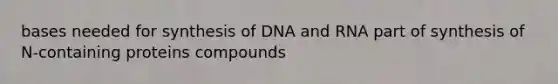 bases needed for synthesis of DNA and RNA part of synthesis of N-containing proteins compounds