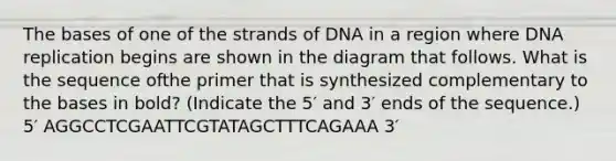 The bases of one of the strands of DNA in a region where DNA replication begins are shown in the diagram that follows. What is the sequence ofthe primer that is synthesized complementary to the bases in bold? (Indicate the 5′ and 3′ ends of the sequence.) 5′ AGGCCTCGAATTCGTATAGCTTTCAGAAA 3′