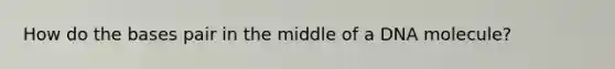 How do the bases pair in the middle of a DNA molecule?