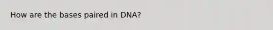 How are the bases paired in DNA?