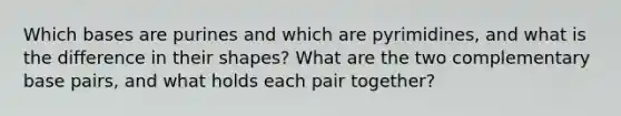 Which bases are purines and which are pyrimidines, and what is the difference in their shapes? What are the two complementary base pairs, and what holds each pair together?