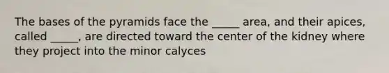 The bases of the pyramids face the _____ area, and their apices, called _____, are directed toward the center of the kidney where they project into the minor calyces