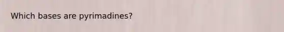 Which bases are pyrimadines?