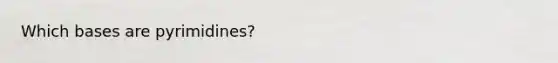 Which bases are pyrimidines?