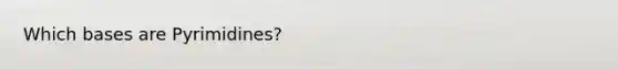 Which bases are Pyrimidines?