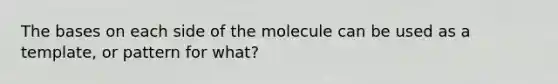 The bases on each side of the molecule can be used as a template, or pattern for what?