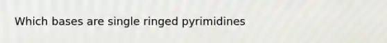 Which bases are single ringed pyrimidines