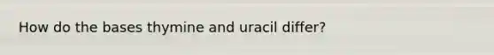 How do the bases thymine and uracil differ?