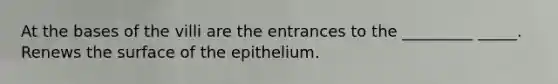 At the bases of the villi are the entrances to the _________ _____. Renews the surface of the epithelium.