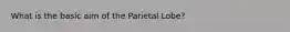 What is the basic aim of the Parietal Lobe?