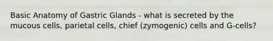 Basic Anatomy of Gastric Glands - what is secreted by the mucous cells, parietal cells, chief (zymogenic) cells and G-cells?