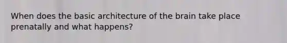 When does the basic architecture of the brain take place prenatally and what happens?