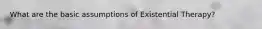 What are the basic assumptions of Existential Therapy?