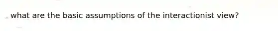 what are the basic assumptions of the interactionist view?