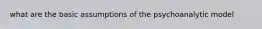 what are the basic assumptions of the psychoanalytic model