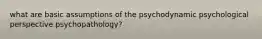 what are basic assumptions of the psychodynamic psychological perspective psychopathology?