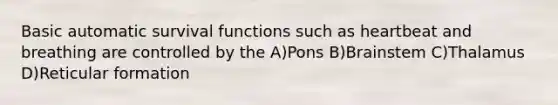 Basic automatic survival functions such as heartbeat and breathing are controlled by the A)Pons B)Brainstem C)Thalamus D)Reticular formation