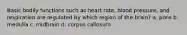 Basic bodily functions such as heart rate, blood pressure, and respiration are regulated by which region of the brain? a. pons b. medulla c. midbrain d. corpus callosum