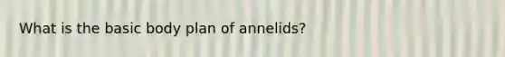 What is the basic body plan of annelids?