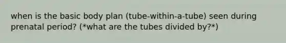 when is the basic body plan (tube-within-a-tube) seen during prenatal period? (*what are the tubes divided by?*)