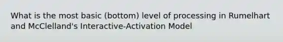 What is the most basic (bottom) level of processing in Rumelhart and McClelland's Interactive-Activation Model