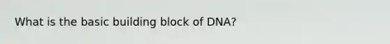 What is the basic building block of DNA?