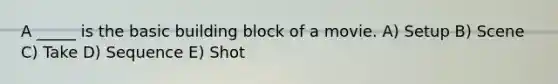A _____ is the basic building block of a movie. A) Setup B) Scene C) Take D) Sequence E) Shot