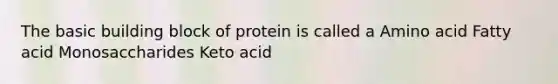 The basic building block of protein is called a Amino acid Fatty acid Monosaccharides Keto acid