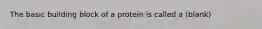 The basic building block of a protein is called a (blank)