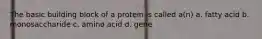 The basic building block of a protein is called a(n) a. fatty acid b. monosaccharide c. amino acid d. gene