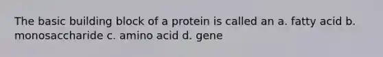 The basic building block of a protein is called an a. fatty acid b. monosaccharide c. amino acid d. gene