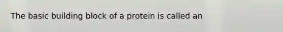 The basic building block of a protein is called an