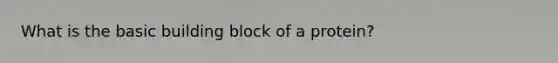 What is the basic building block of a protein?