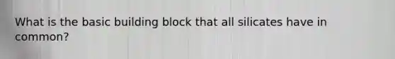 What is the basic building block that all silicates have in common?