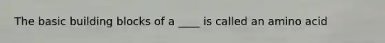 The basic building blocks of a ____ is called an amino acid