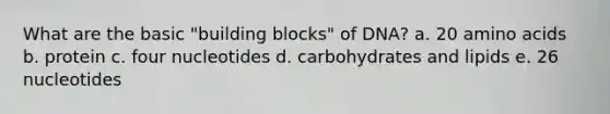 What are the basic "building blocks" of DNA? a. 20 amino acids b. protein c. four nucleotides d. carbohydrates and lipids e. 26 nucleotides