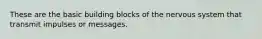 These are the basic building blocks of the nervous system that transmit impulses or messages.