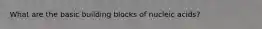 What are the basic building blocks of nucleic acids?