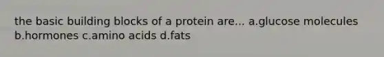 the basic building blocks of a protein are... a.glucose molecules b.hormones c.amino acids d.fats