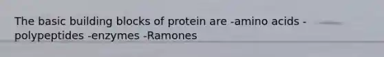 The basic building blocks of protein are -amino acids -polypeptides -enzymes -Ramones