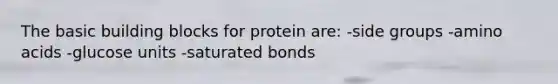 The basic building blocks for protein are: -side groups -amino acids -glucose units -saturated bonds