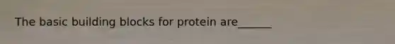 The basic building blocks for protein are______