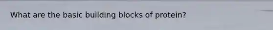 What are the basic building blocks of protein?