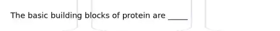 The basic building blocks of protein are _____