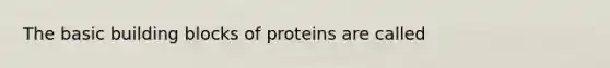 The basic building blocks of proteins are called