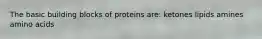 The basic building blocks of proteins are: ketones lipids amines amino acids