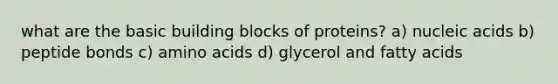 what are the basic building blocks of proteins? a) nucleic acids b) peptide bonds c) amino acids d) glycerol and fatty acids