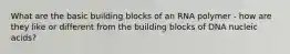 What are the basic building blocks of an RNA polymer - how are they like or different from the building blocks of DNA nucleic acids?
